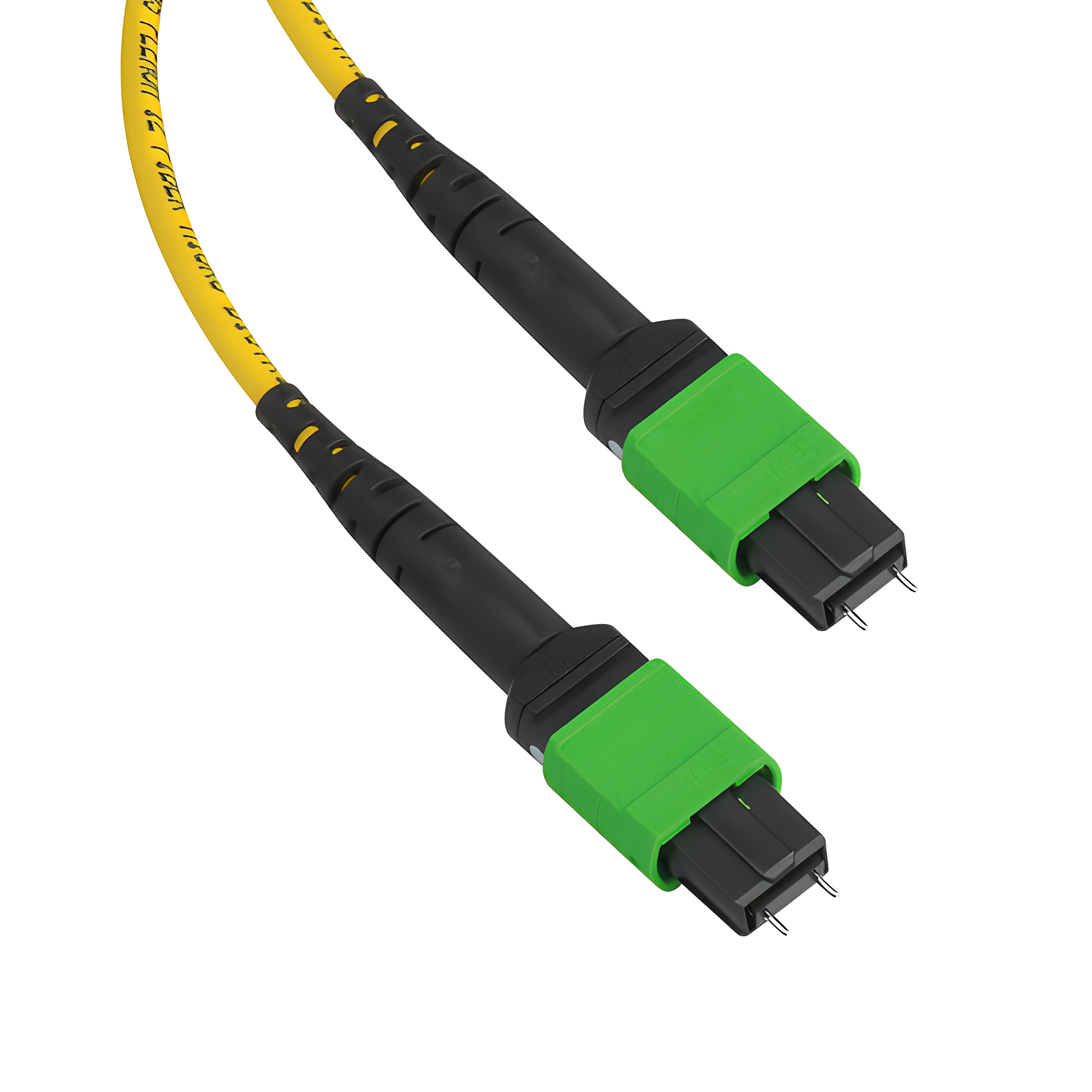 12-fiber MPO-QR12 to MPO-QR12 array cable