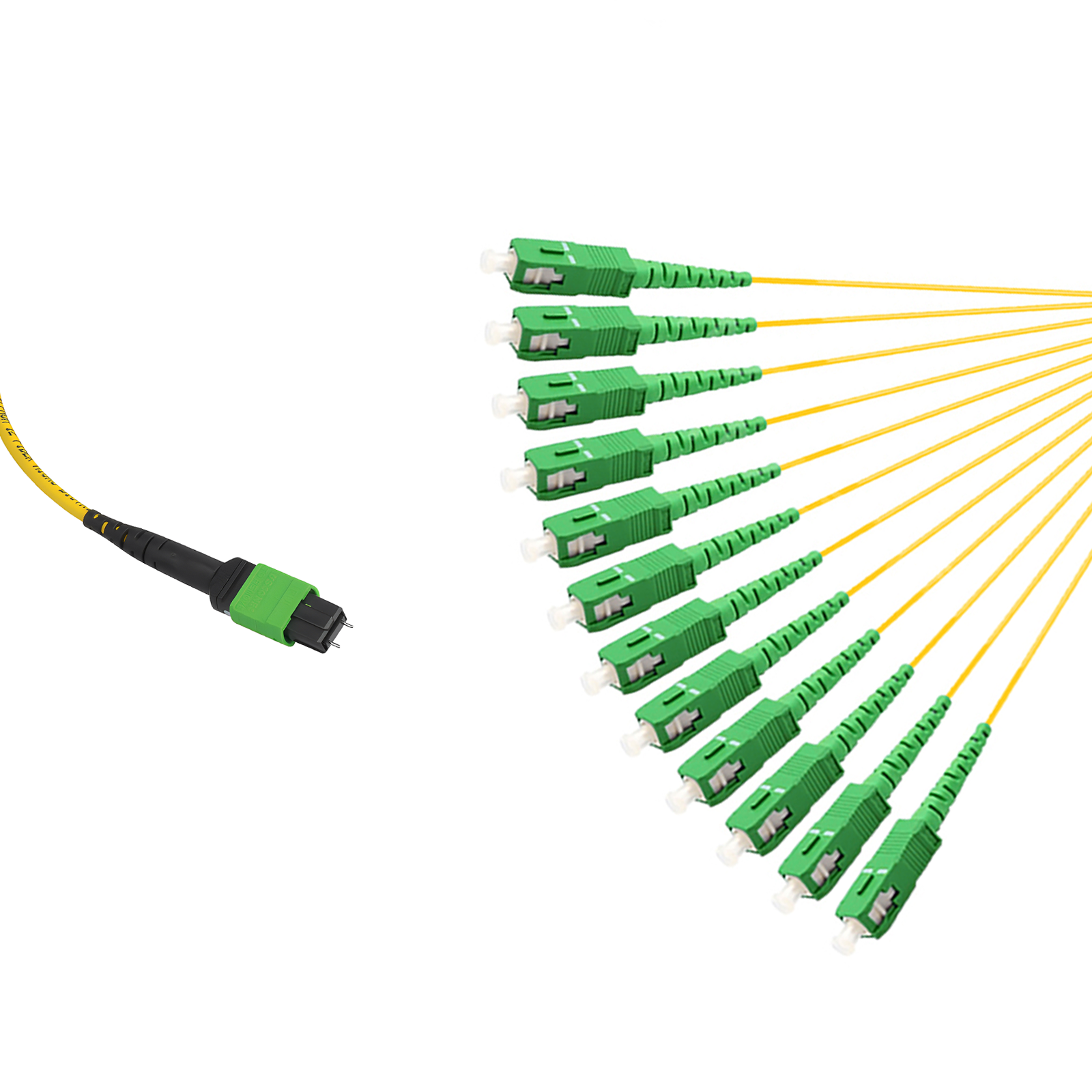12-fiber MTP12 to twelve SC simplex APC transition harness
